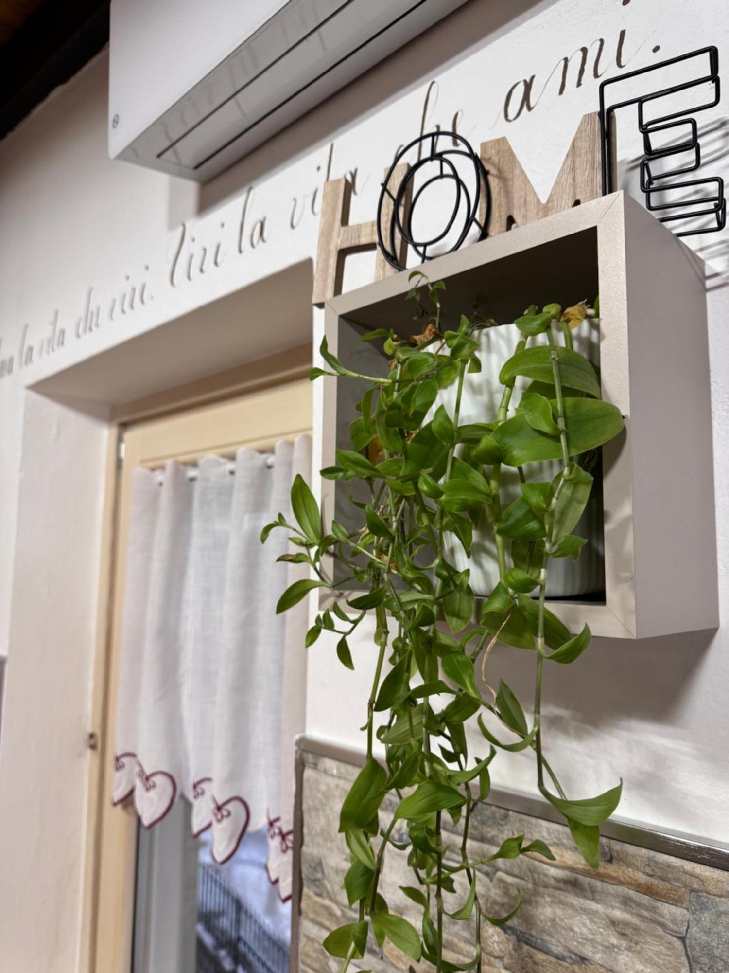 Residenze Vezza - Home Sweet Home- เวซซาโดโญ ภายนอก รูปภาพ